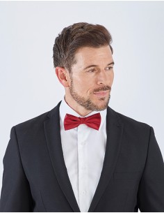 T-TT904-Satin Bow Tie 2